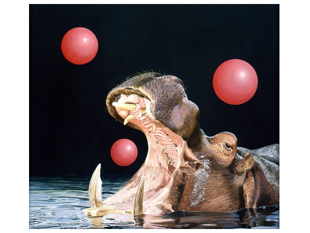 Hippopotame Art Image Publications